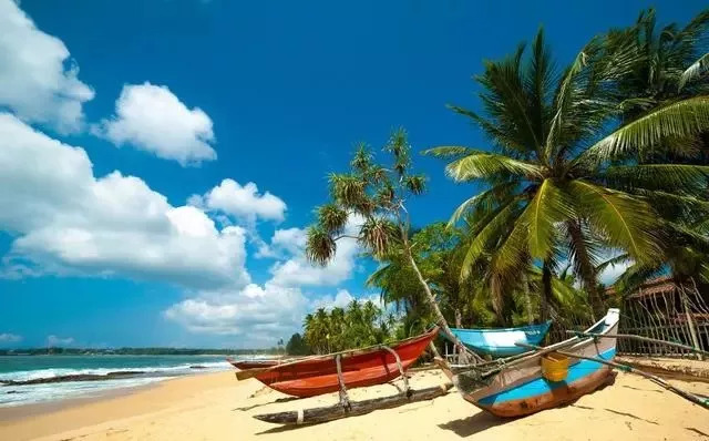 这些地方对中国游客免签或落地签,去免签国中转第三国需要过境签吗