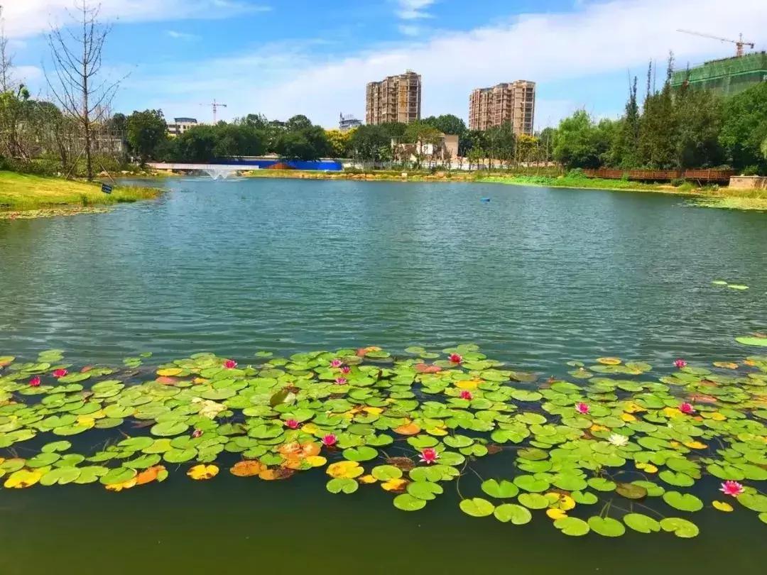 阜阳有什么好玩的公园,阜阳美丽风景