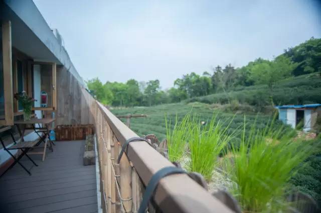 杭州浙大玉泉校区能做饭的民宿,杭州绝美的10间民宿