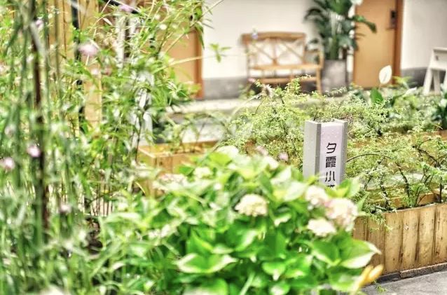 杭州浙大玉泉校区能做饭的民宿,杭州绝美的10间民宿