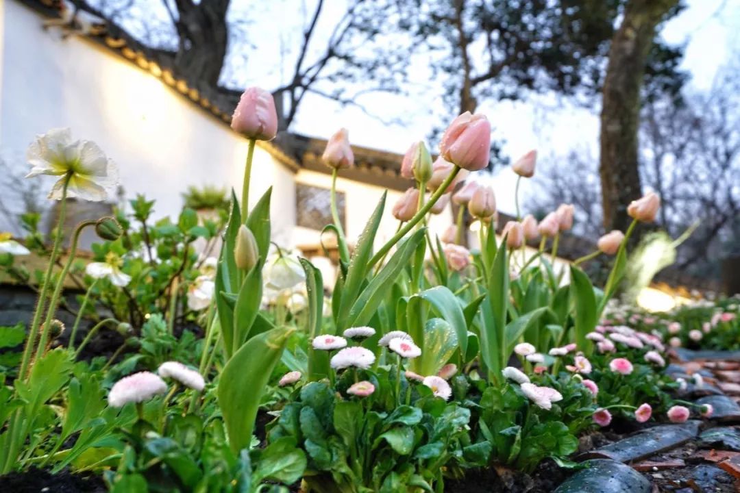 杭州浙大玉泉校区能做饭的民宿,杭州绝美的10间民宿