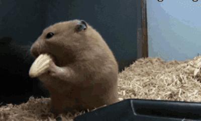 Lamer被起诉！你曾经为它交过“美商税”吗？