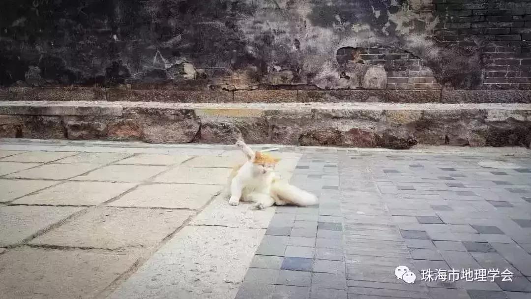 珠海以前是个小渔村吗,珠海是一座什么样的城市