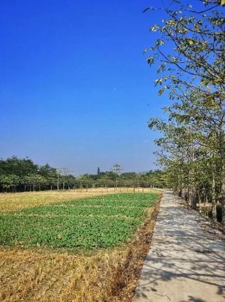 珠海以前是个小渔村吗,珠海是一座什么样的城市