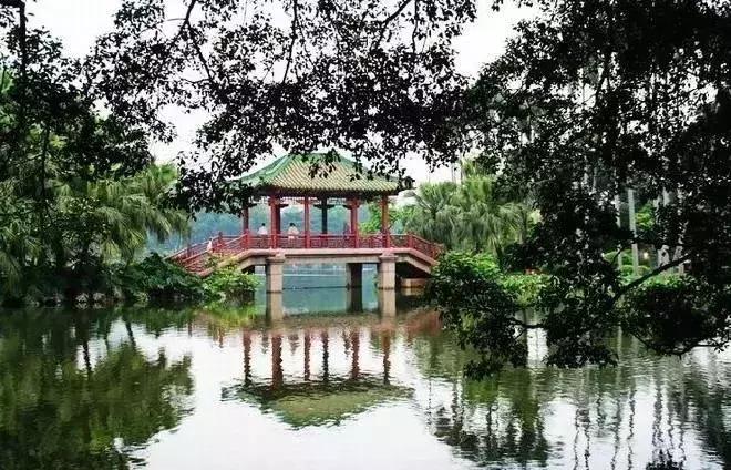 港真！劝你国庆千万别离开广州！因为……