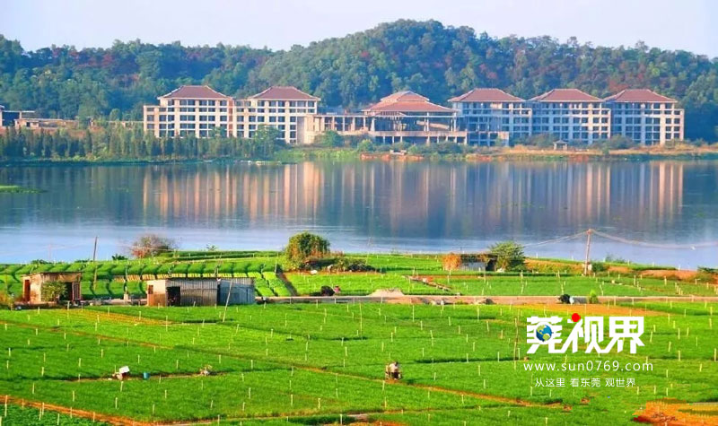 企石风景最美的地方,企石有什么好玩的景点