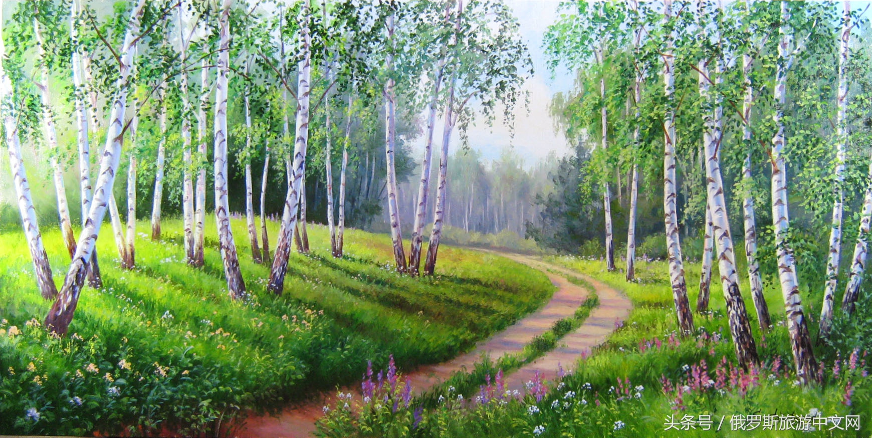 俄罗斯白桦林树茸,俄罗斯白桦林风景