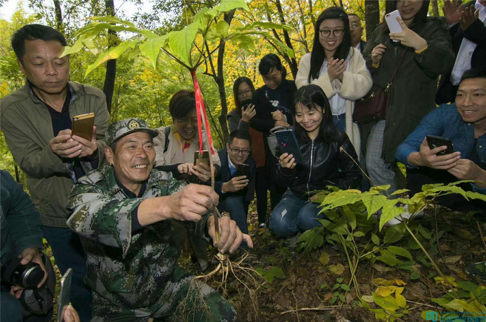 长白山人参的传奇,抚松长白山野山参传说