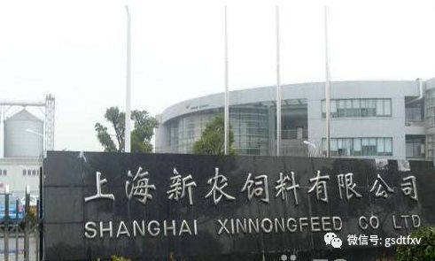 新农股份值不值得长期投资,新农股份盈利预测