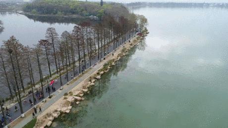 融湖而居,融湖而居最好的小院