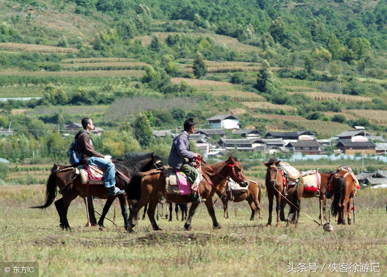 丽江拉市海如何,丽江拉市海开放了吗