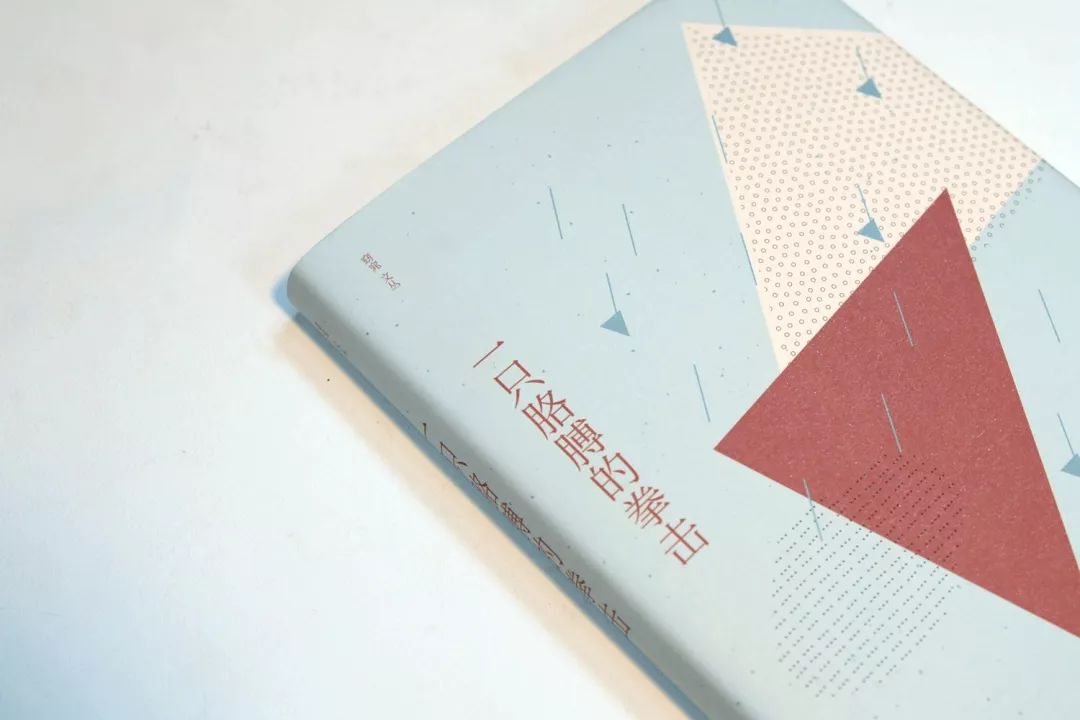 视写作为“缝补”,毕飞宇频频为她点赞