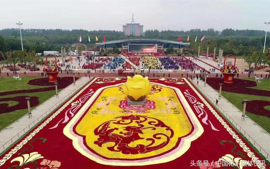 世界最大花地毯,世界上最大花卉展