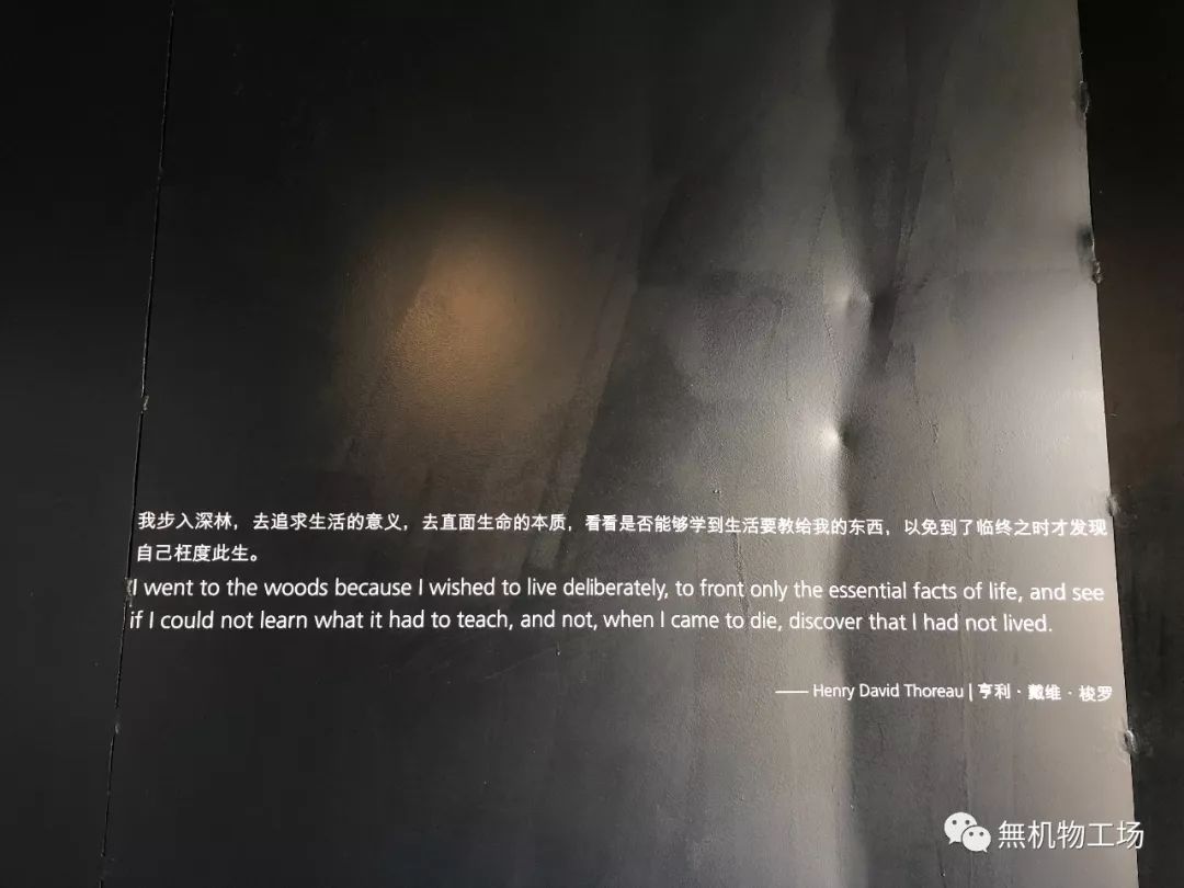 一封通往未来的邀请函,未来邀请函完整版