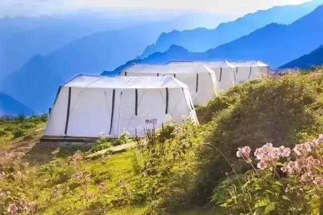 便宜高级旅游民宿推荐,适合旅游居住的民宿推荐