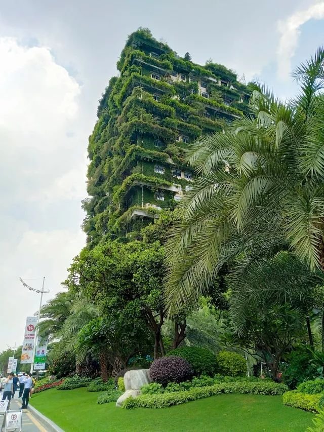 在碧桂园实习是一种怎样的体验:都是踏踏实实做事的人感觉超厉害