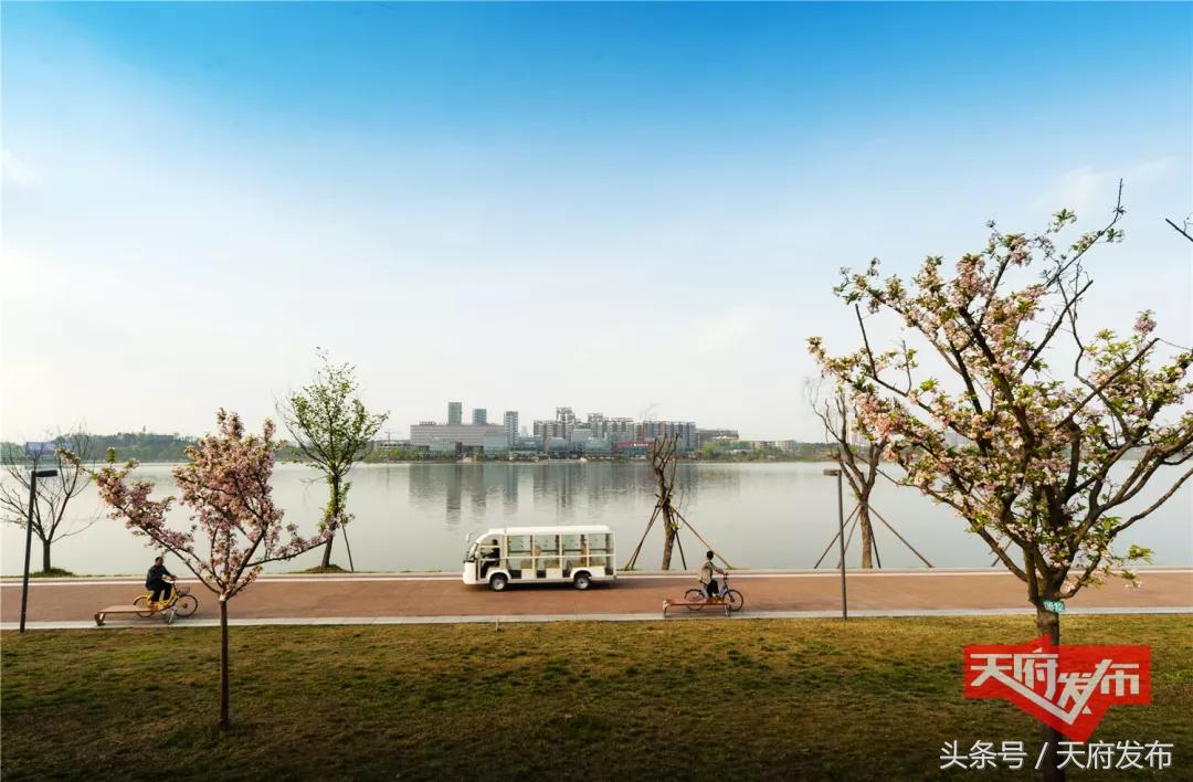 天府新区国庆哪里玩,国庆假期游玩攻略成都天府新区