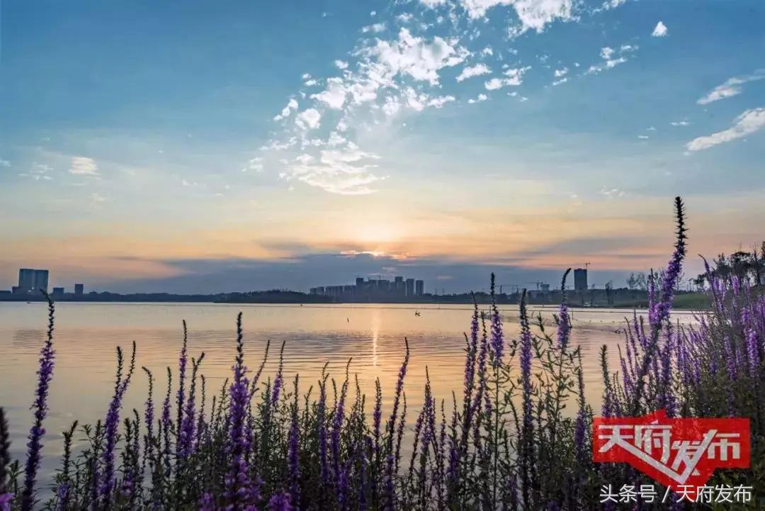 天府新区国庆哪里玩,国庆假期游玩攻略成都天府新区