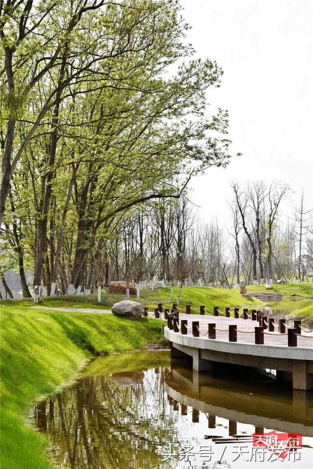 天府新区国庆哪里玩,国庆假期游玩攻略成都天府新区