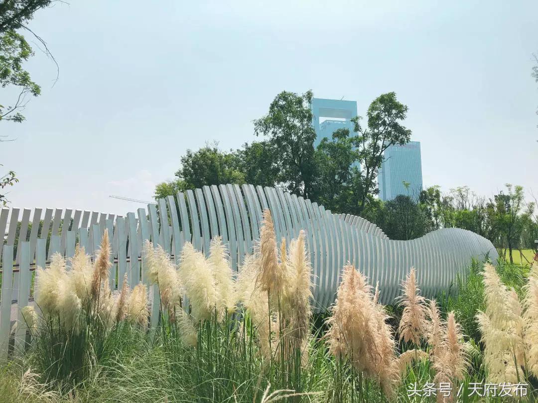 天府新区国庆哪里玩,国庆假期游玩攻略成都天府新区