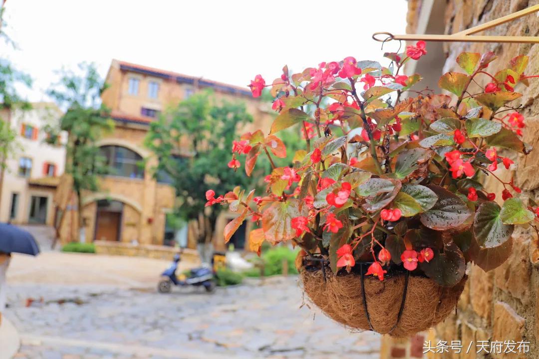 天府新区国庆哪里玩,国庆假期游玩攻略成都天府新区