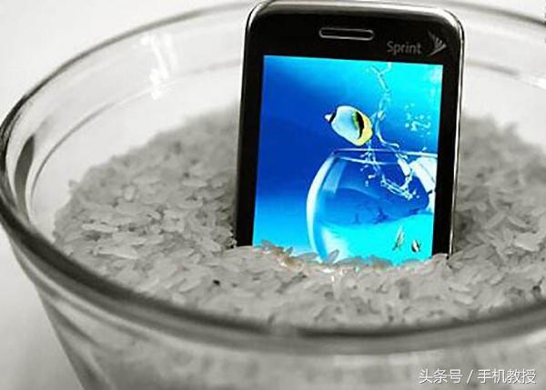 如何拯救落水的手机,手机进水了用大米一招搞定