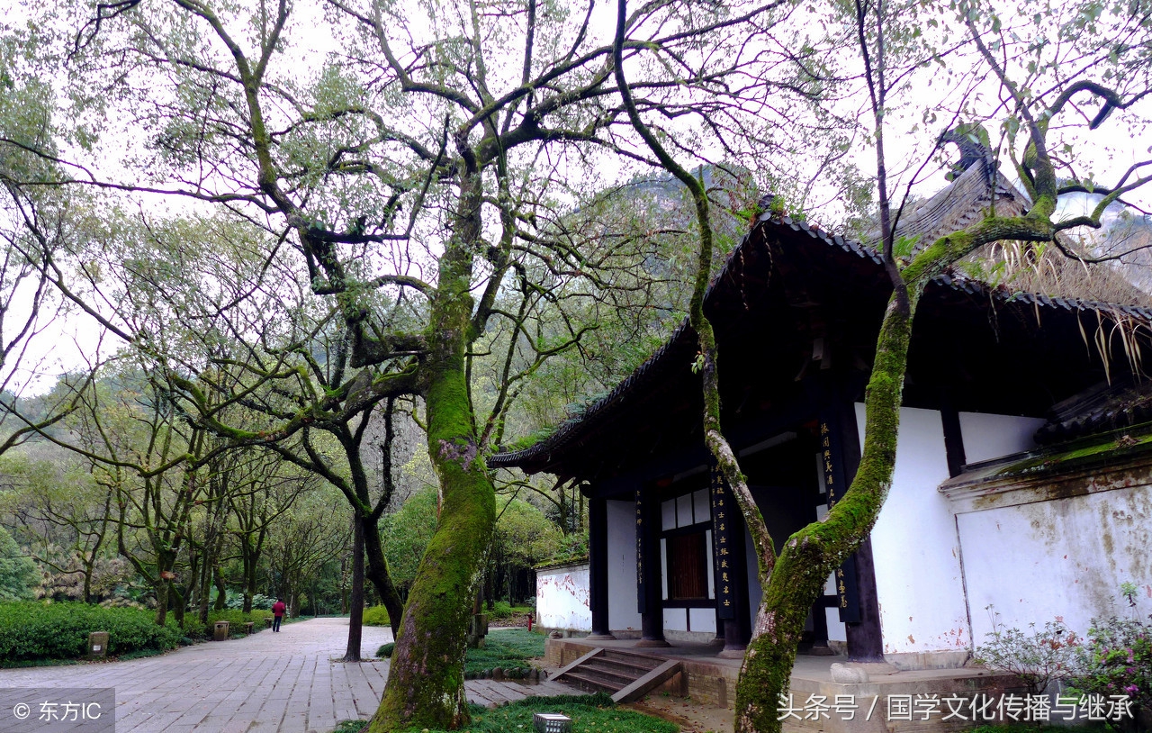 中华新韵十四韵讲解说明,中华新韵用十八韵好还是十四韵好