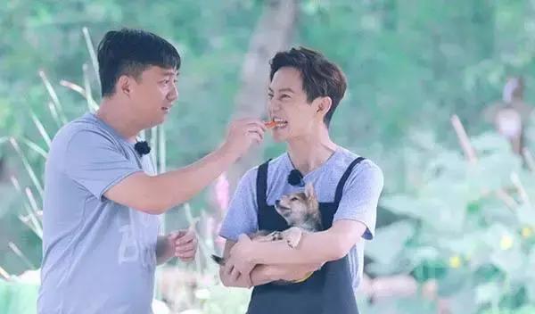 综艺人物关系塑造前置化，被动变主动，CP不再是粉丝专利