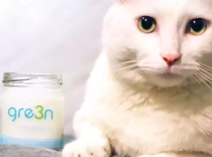 猫狗皮肤病吃什么药好得快,猫狗50个常见皮肤病小知识