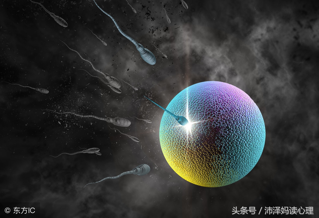 妊娠前两周，小夫妻应做好的几件事，期待美好时刻到来