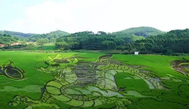 国庆假期广西天气,广西国庆节的天气