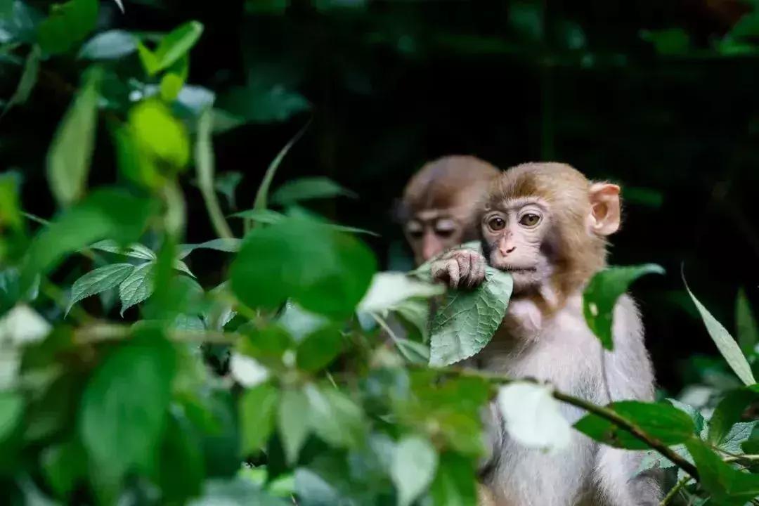 国庆假期广西天气,广西国庆节的天气