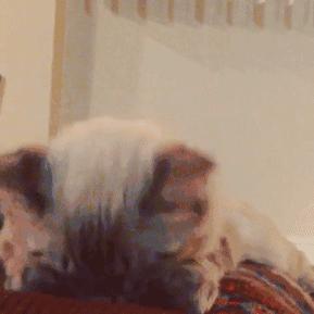 这5种癌症非常隐蔽,这5种疾病看着很奇怪