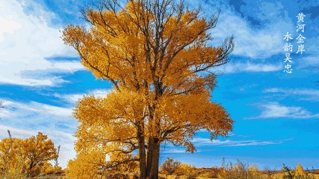 国庆假期去宁夏旅游需要准备什么,五一小长假宁夏旅游两天内攻略