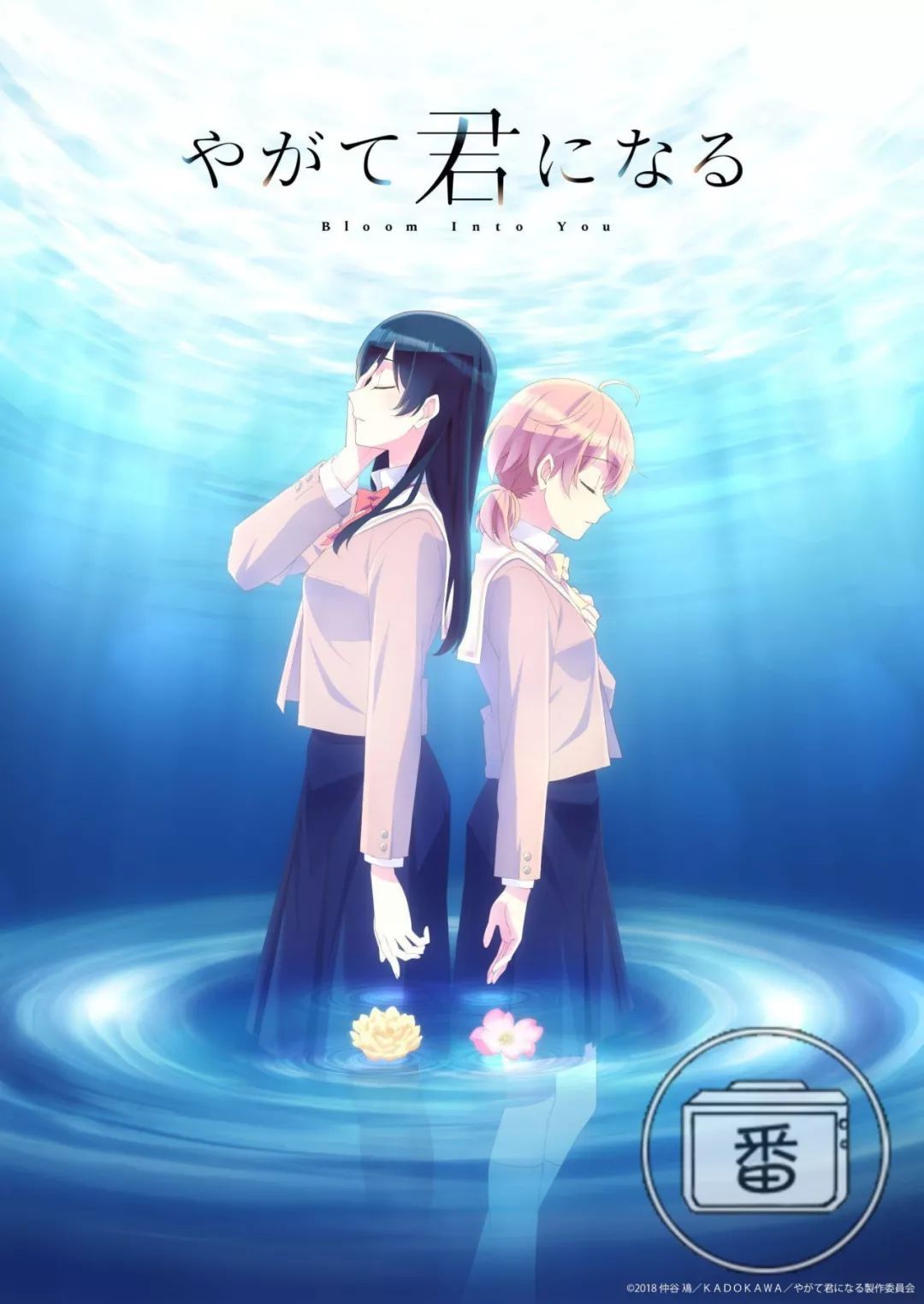 充满着恋爱的酸臭味,充满恋爱的酸臭味