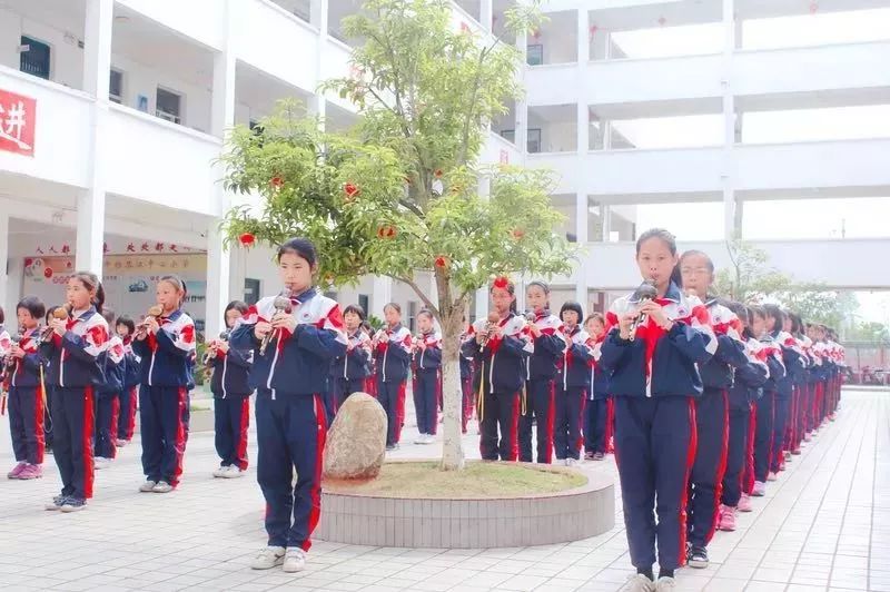 赣州市少年宫建设,乡村学校少年宫项目概况