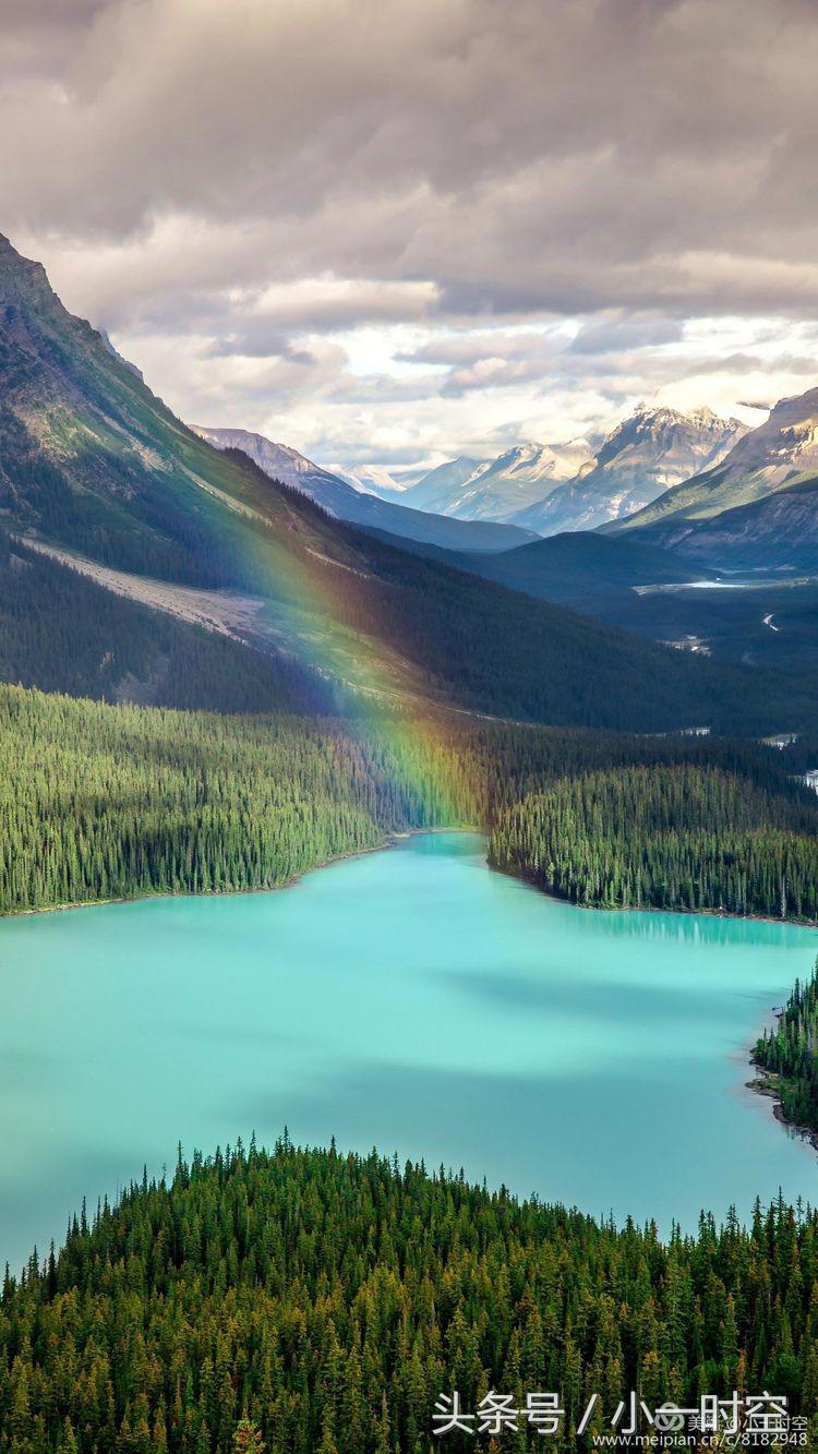 闻一多和七子之歌的故事,闻一多先生七子之歌原文