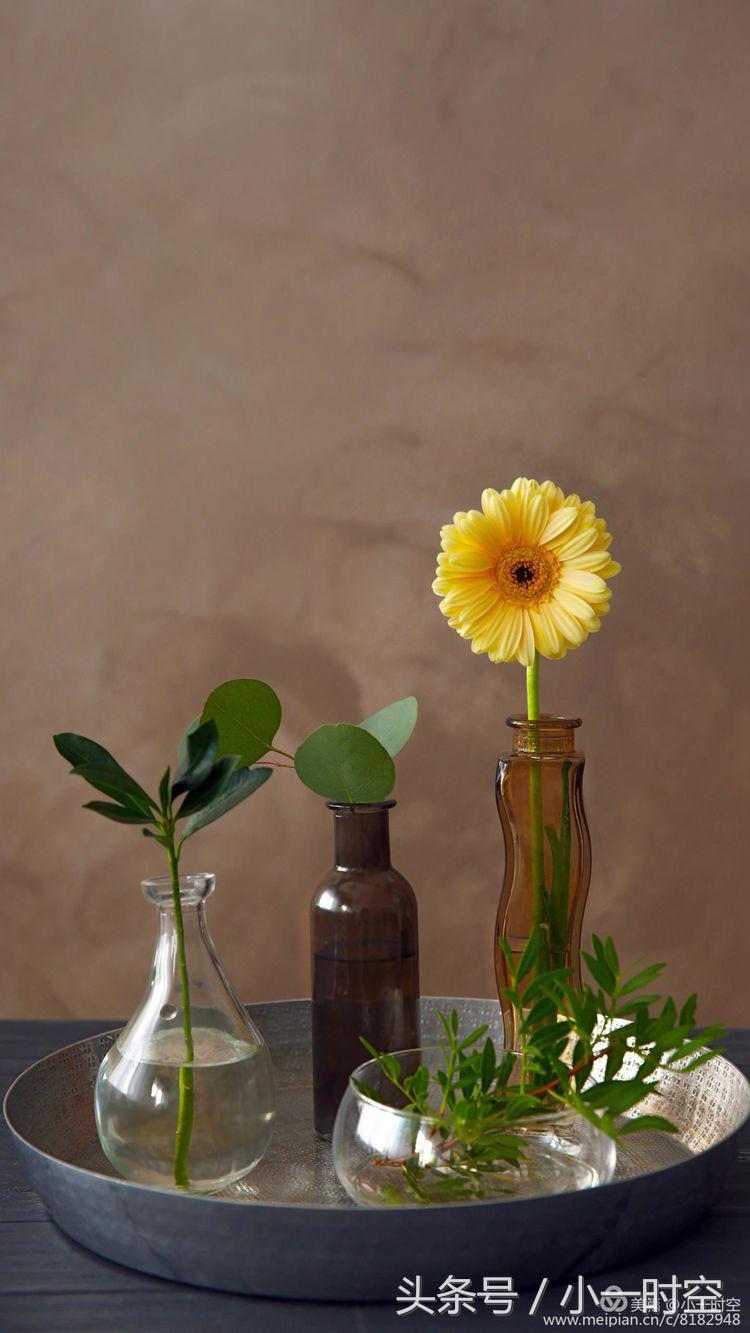 闻一多和七子之歌的故事,闻一多先生七子之歌原文