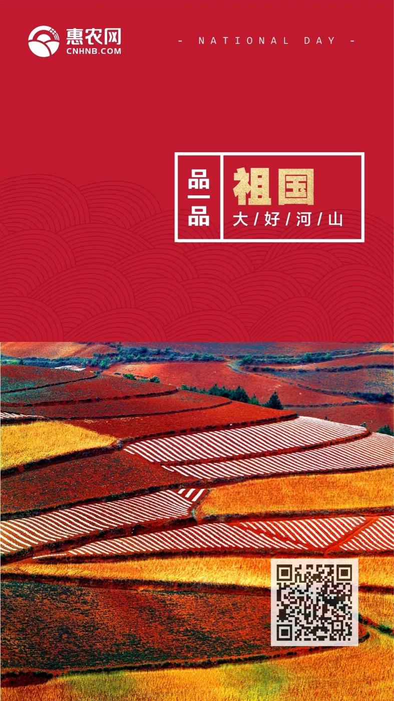 9月13日苹果价格,2020年十月苹果收购价情况