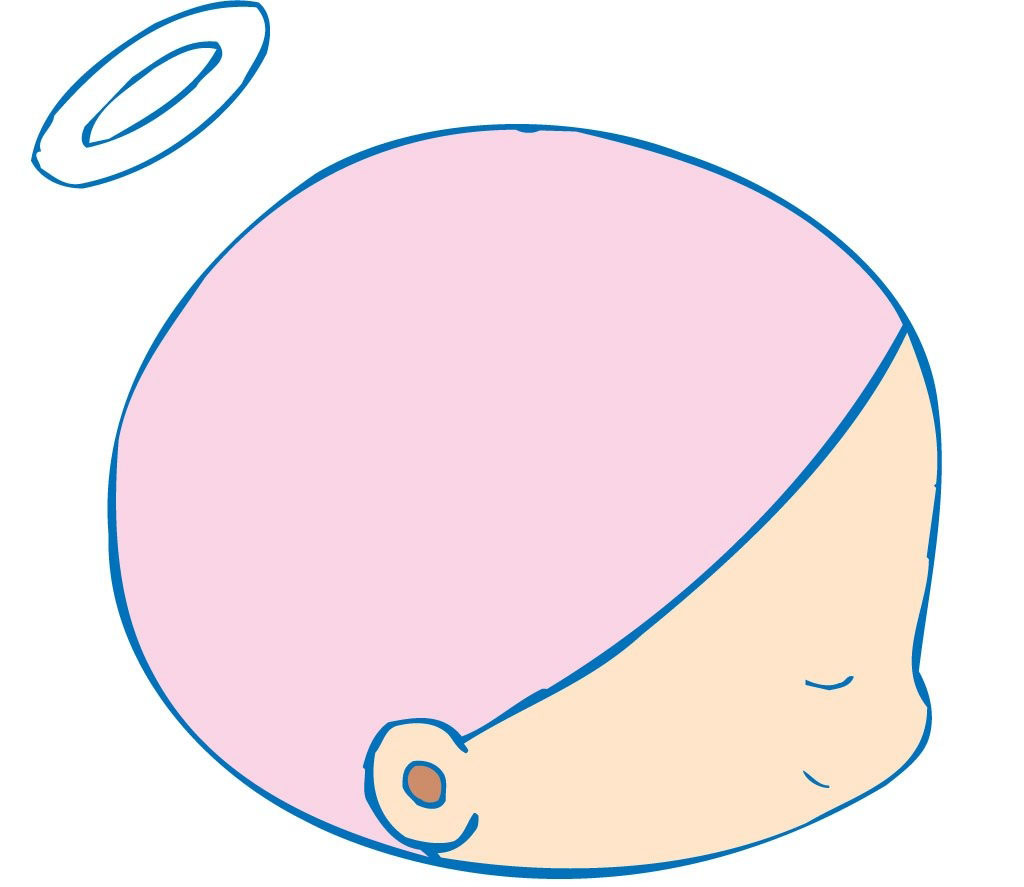 b超显示胎儿肝内强回声,b超显示胎儿部分肠道回声增强