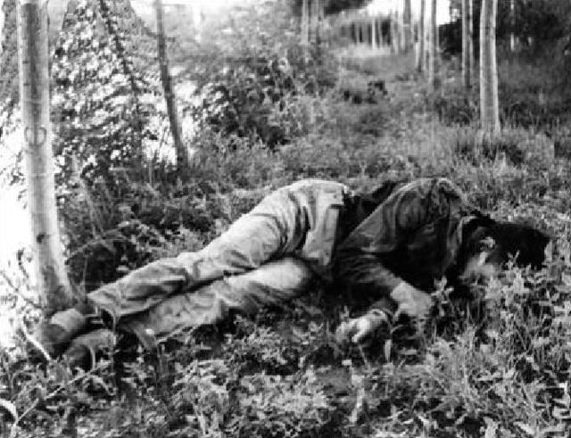 35年前，数万军警历时7个月围歼悍匪二王，引发“83年严打”