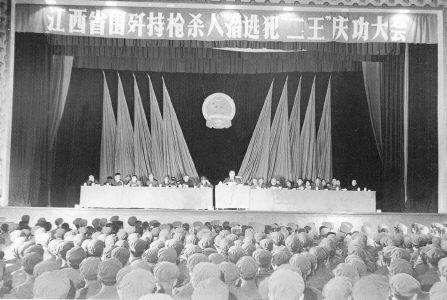 35年前，数万军警历时7个月围歼悍匪二王，引发“83年严打”