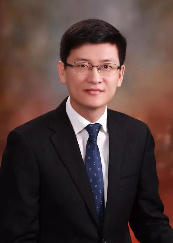 pubmed文献综述,pubmed文献推送