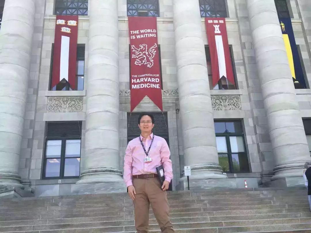 pubmed文献综述,pubmed文献推送