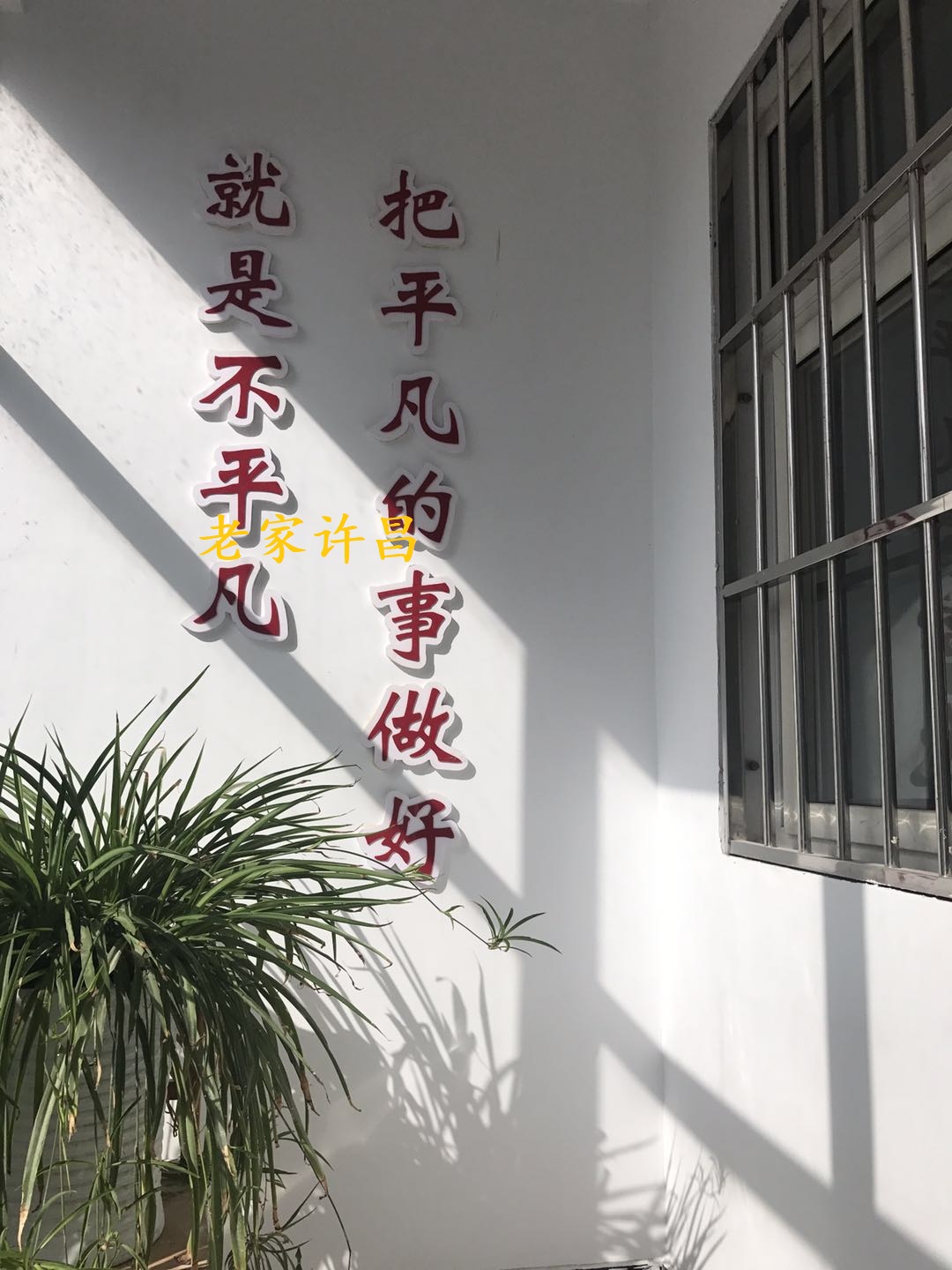 许昌40年前的村子,许昌一小村庄