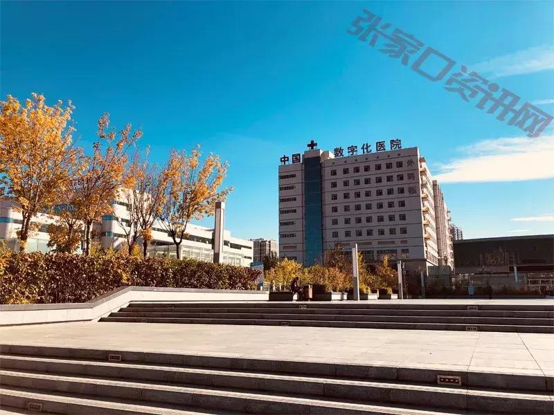 张家口陆军第81集团军医院正式挂牌!再见“251”