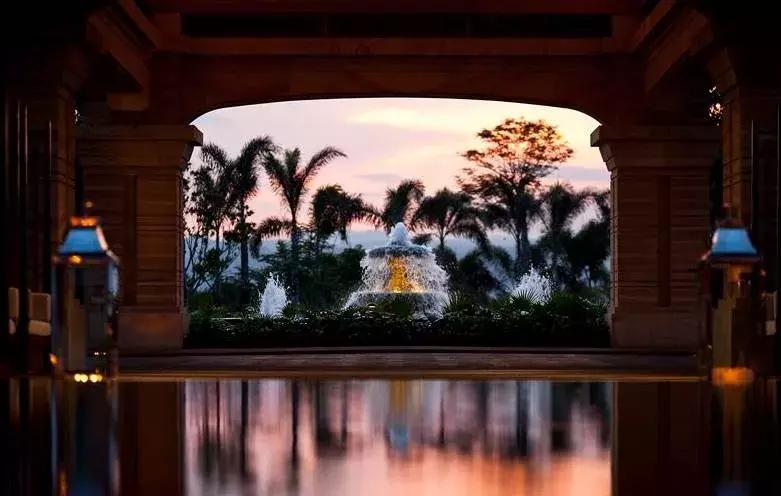 大s和杨子姗是一个人吗,大s杨子姗