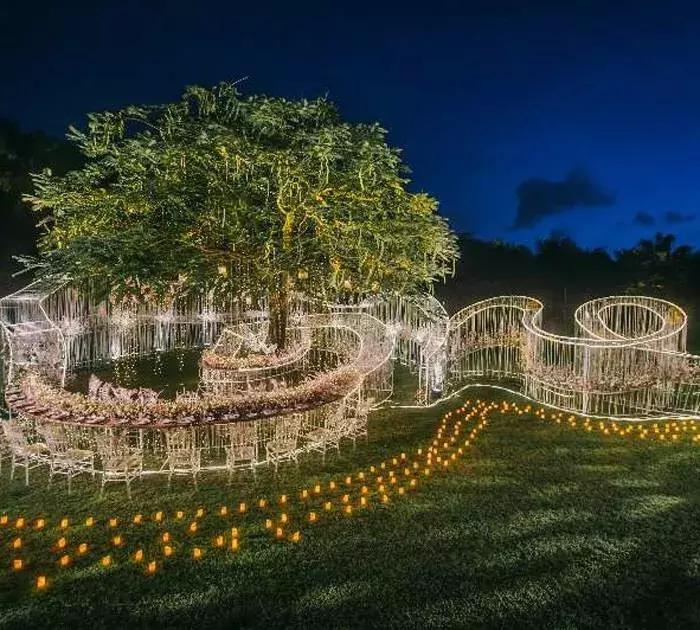 大s和杨子姗是一个人吗,大s杨子姗