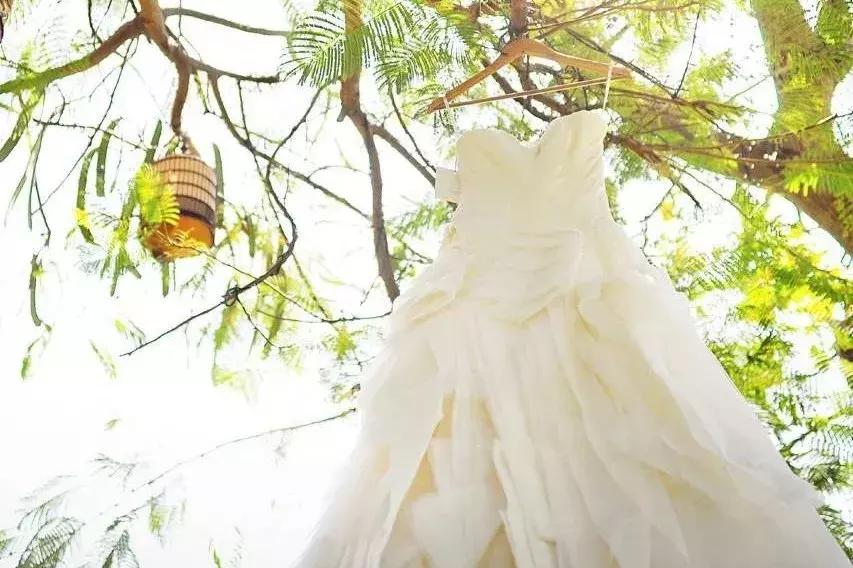 大s和杨子姗是一个人吗,大s杨子姗