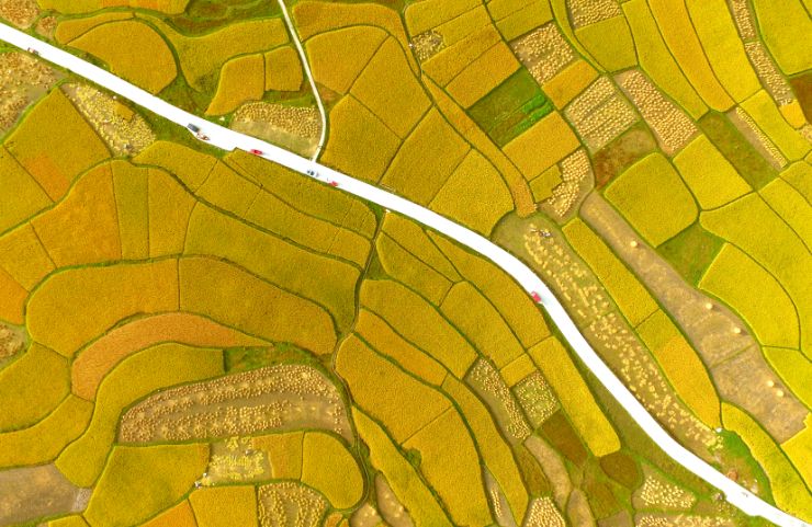 贵州贵阳花溪旅游推荐,贵州花溪旅游攻略